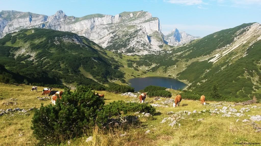 Privathaus Achensee Achenkirch Dış mekan fotoğraf